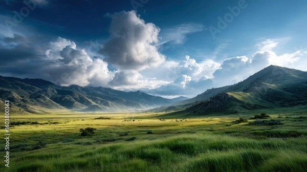 Fototapeta Wide Scenic View of Open Plains with Grazing Animals in Nature
