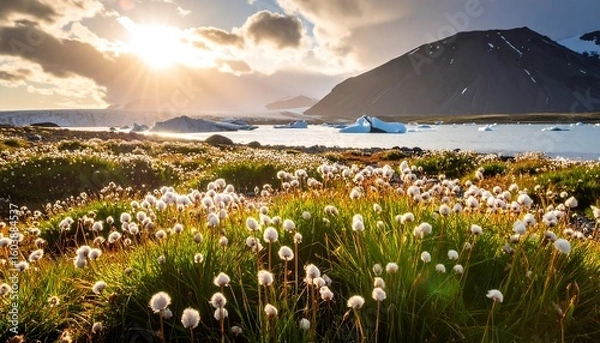 Obraz Arctic Landscape with Cottongrass Field, Icebergs, and Mountain Scenery