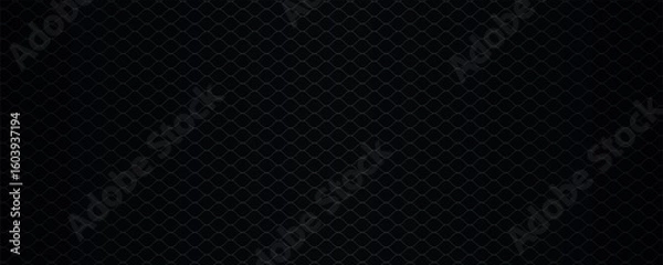 Obraz Elegant dark background. Black and white abstract background