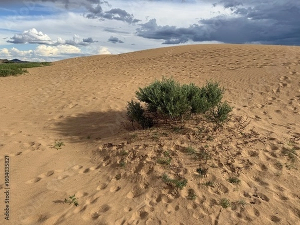 Fototapeta 모래 사막