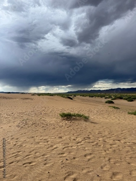 Fototapeta 모래 사막