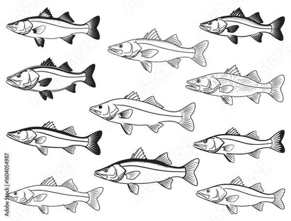 Obraz SNOOK FISH SILHOUETTE