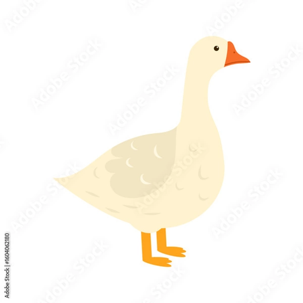 Fototapeta Cute goose vector illustration in flat style. Farm bird character with simple decorative feathers. Perfect for children’s design, farm-themed projects, packaging.