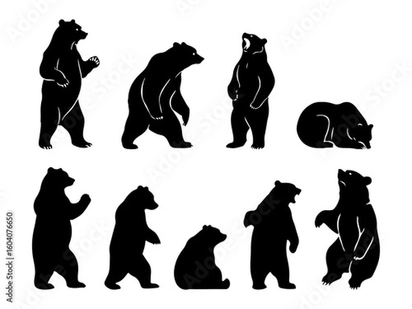 Obraz Collection of diverse bear silhouettes in various poses and actions isolated on white background