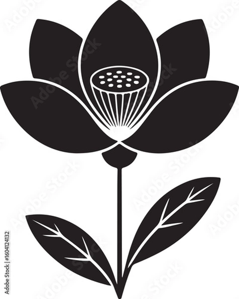 Obraz black and white flower