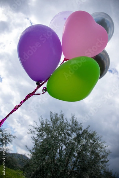 Obraz Balloons in the sky