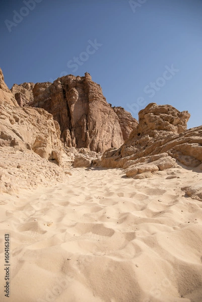 Obraz Desert Arava