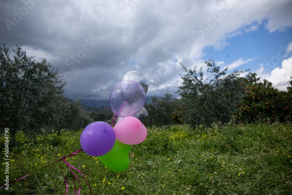 Obraz Celebration on nature