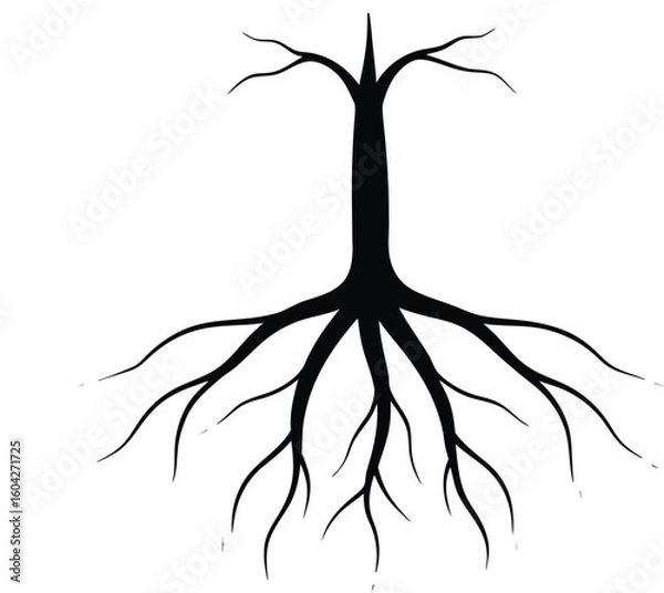 Fototapeta A stark silhouette of a tree with prominent roots isolated on white background Ai Generated