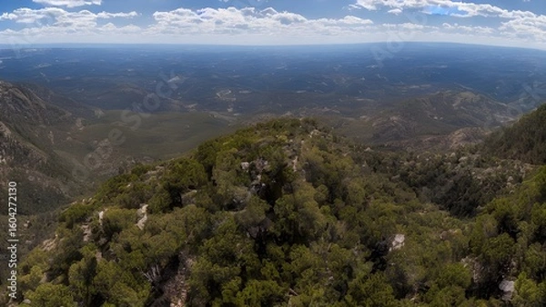 Fototapeta Mountain panorama with a bird's-eye view of the landscape, forest, and clouds