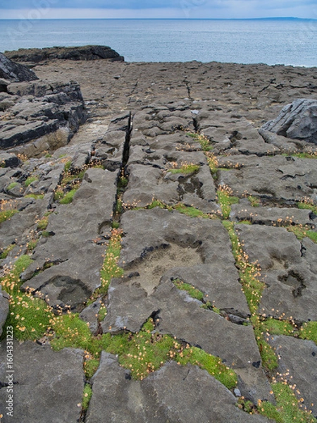 Fototapeta Rugged limestone pavement in Burren, Ireland, meets the Atlantic Ocean under a moody sky, revealing unique geological formations.