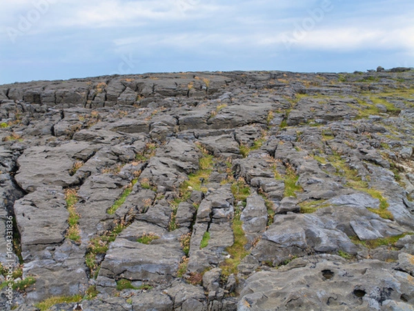 Fototapeta Rugged limestone pavement of Burren, Ireland, with cracks and crevices filled with wildflowers under a cloudy sky.