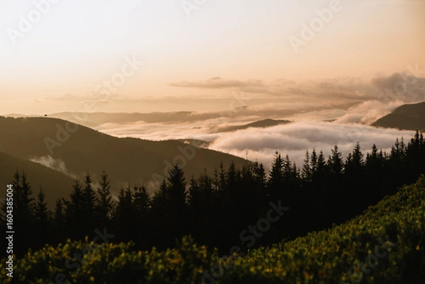 Obraz Sunset Over Carpathian Mountains, Ukraine