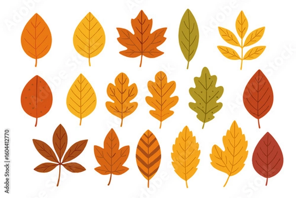 Fototapeta Collection of autumn leaves vector illustrations. Set of diverse fall foliage shapes and patterns. Orange, yellow, red seasonal icons for nature themed design projects.