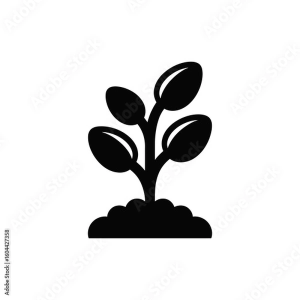 Obraz A black and white image of a plant