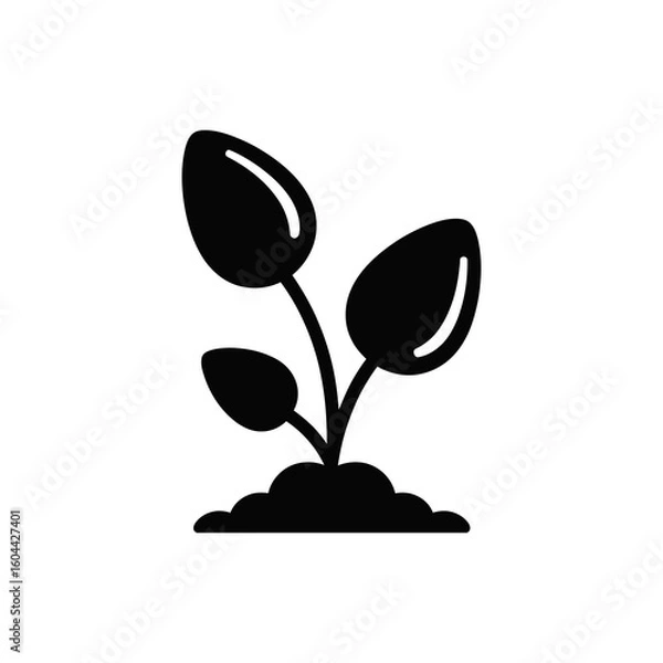 Obraz A black and white image of a plant