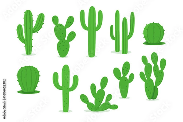 Fototapeta Vibrant Green Cactus Collection. Variety of Cartoon Cacti in Multiple Shapes and Sizes. Succulent Plant Set. Vector Illustration Isolated on Transparent Background. Desert Flora Icons.