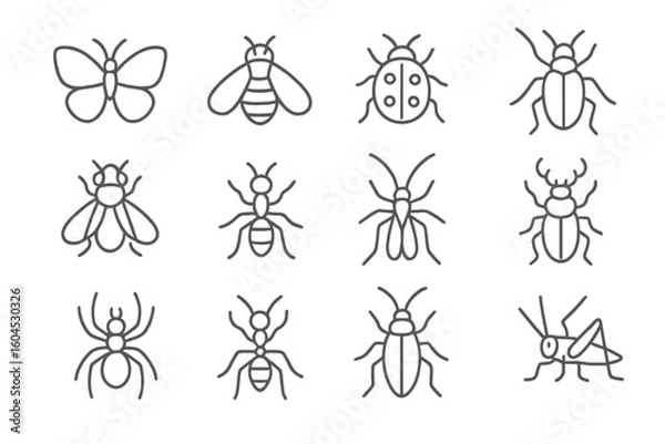 Fototapeta Minimal thin line icon set of insects and arachnids: butterfly, bee, ladybug, beetle, fly, ant, mosquito, stag beetle, spider. Simple outline vector symbols for app UI and charts