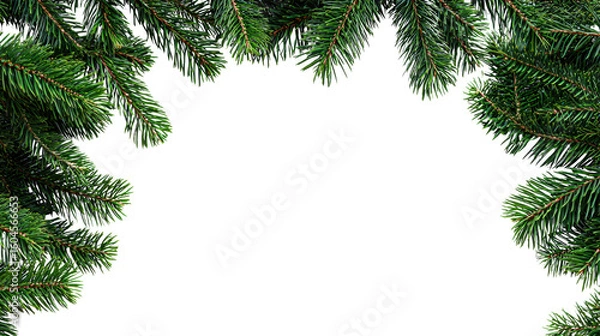 Fototapeta Evergreen branches forming a natural frame, perfect for holiday decorations or festive backgrounds.