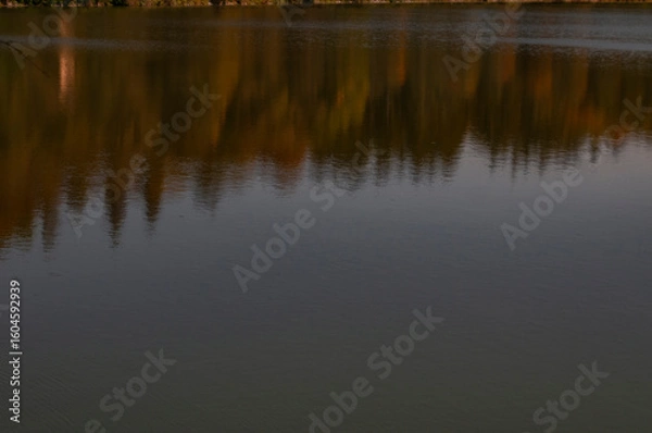Obraz beautiful landscape with lake and autumn trees