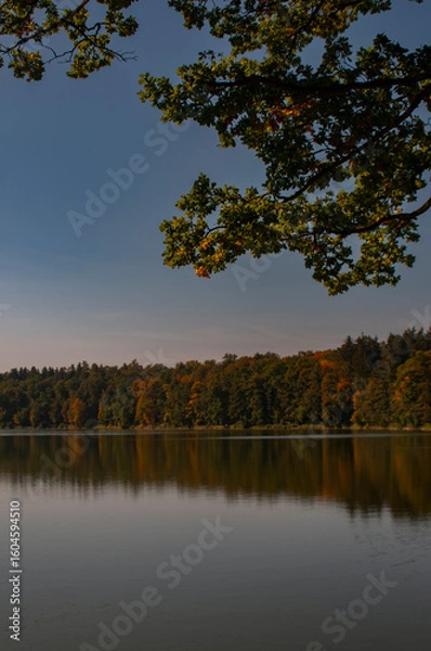 Fototapeta beautiful landscape with lake and autumn trees