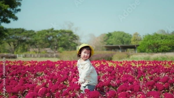 Fototapeta A young child girl in a hat Enjoying a Vibrant red Flower Field on a Sunny Day with Clear Blue Skies and Lush Greenery in the Background