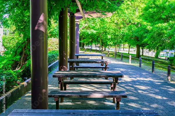 Fototapeta マンションの庭にある風景