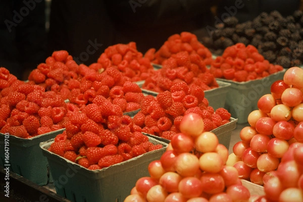 Obraz レッドベリー