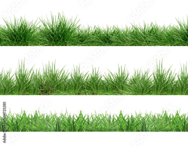 Obraz Fresh lush green grass isolated on white, set