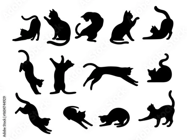 Obraz Collection of playful cat silhouettes in various dynamic poses isolated on white background silhouette