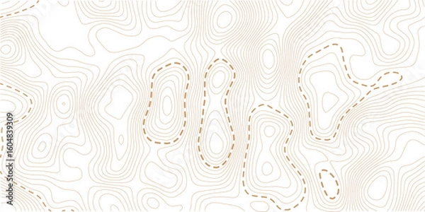 Obraz Topographic map lines background. Abstract vector illustration.