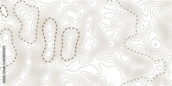 Obraz Business concept. Fish Fillet Texture, Salmon fillet texture, fish pattern. paper texture. Topography and geography map grid abstract backdrop.
