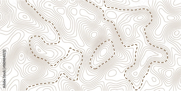 Obraz Business concept. Fish Fillet Texture, Salmon fillet texture, fish pattern. paper texture. Topography and geography map grid abstract backdrop.
