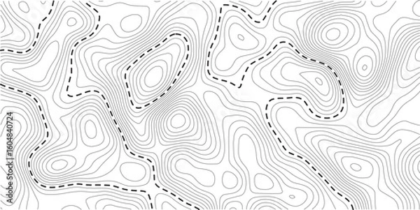 Obraz Topographic contour map. similarcartography illustration. Topography and geography map grid abstract backdrop. Business concept. Fish Fillet Texture, Salmon fillet texture, fish pattern. paper texture
