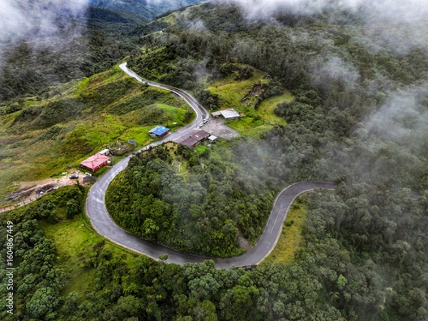 Fototapeta A breathtaking aerial view of a winding mountain road cutting through lush green forest, partially veiled by patches of low-hanging clouds. 