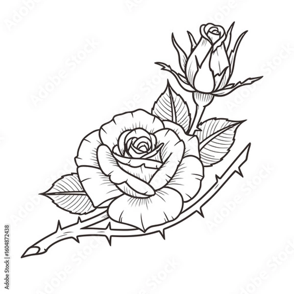 Obraz Elegant rose with bud and thorns, classic floral line art for timeless beauty and design projects