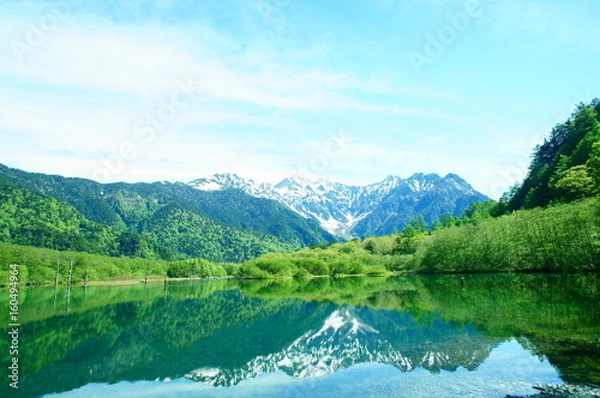 Obraz 上高地の大正池