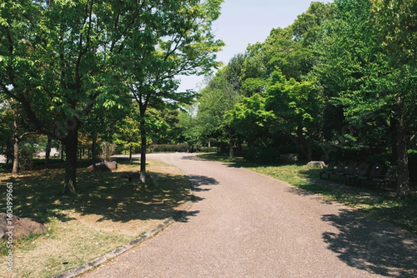 Obraz 美しい緑の自然、大阪、日本