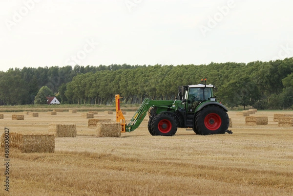Fototapeta a tractor with a front loader is loading big straw bales in field in the dutch countryside in summer