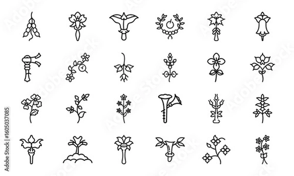 Fototapeta Bundle of Botanical and Feminine Line Art Icons — Uterus, Flowers, Herbal Elements in Minimal Vector Style for Feminist, Medical & Nature Themes