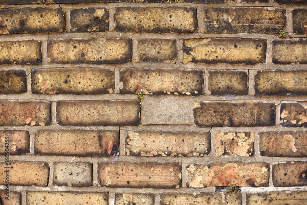 Fototapeta Brick wall background texture, good for graffiti