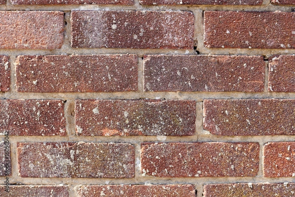 Fototapeta Brick wall background texture, good for graffiti