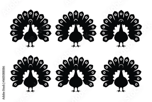 Fototapeta Collection of silhouetted pigeons in various poses demonstrating different bird anatomy and stance