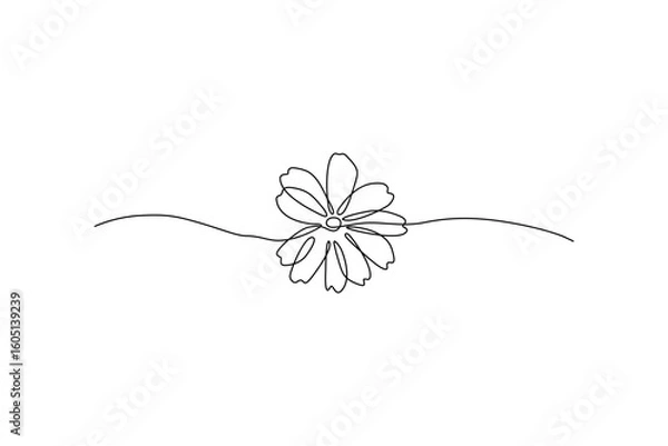 Fototapeta Simple one-line drawing of a flower on white Delicate petals, thin line art Modern, minimalistic