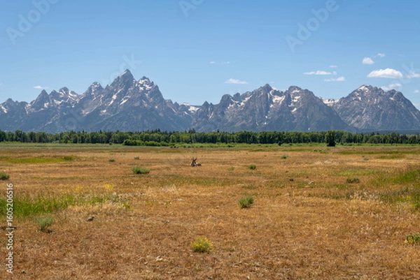Obraz Grand Teton National Park