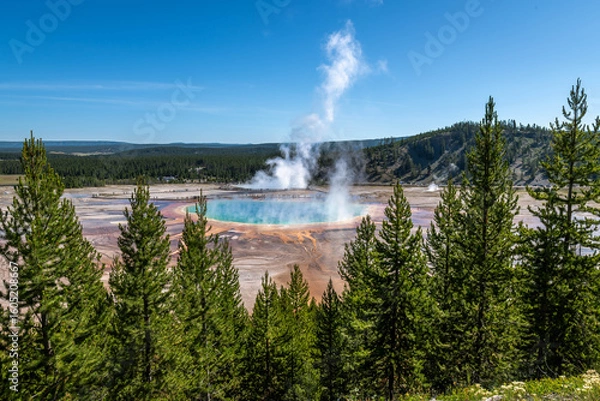 Obraz Yellowstone National Park