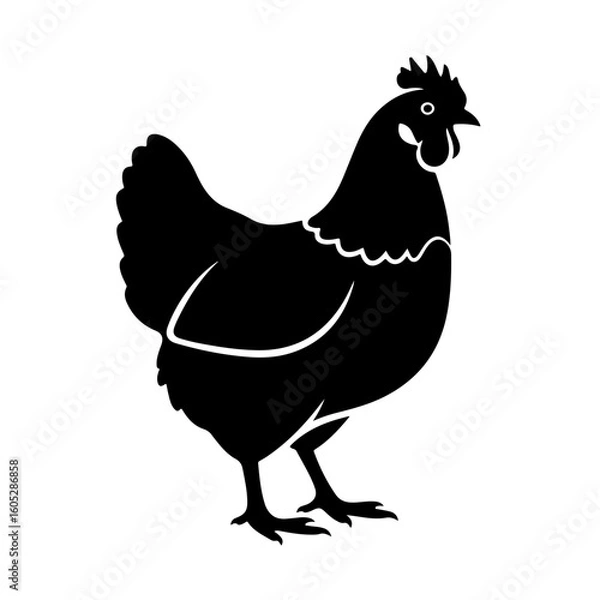 Fototapeta illustration of a chicken or hen. The illustration is a silhouette or outline drawing, with the key features of the bird clearly visible