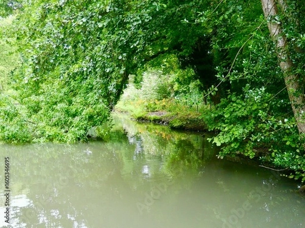 Fototapeta Bronze sculpture of embracing nude figures in a park setting