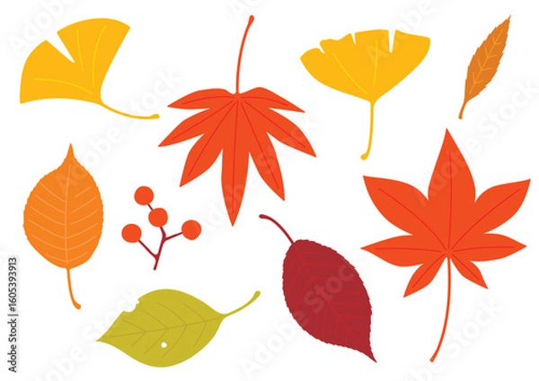 Obraz シンプル・フラットな秋の葉っぱセット
