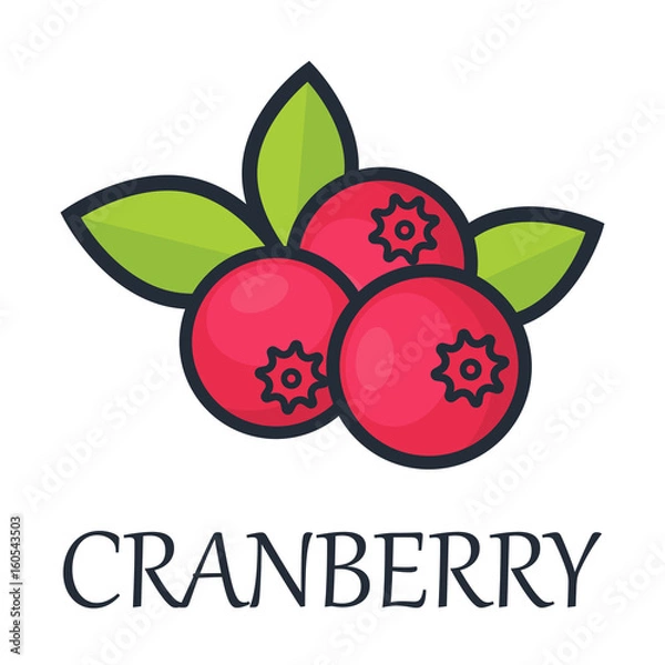 Obraz cartoon cranberry with text